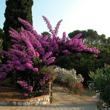 Capo D'arco Вилла *